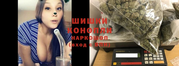 ГАЛЛЮЦИНОГЕННЫЕ ГРИБЫ Балахна