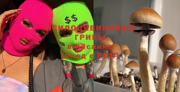 COCAINE Баксан