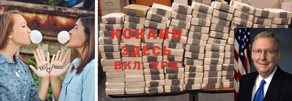 ГАЛЛЮЦИНОГЕННЫЕ ГРИБЫ Балахна