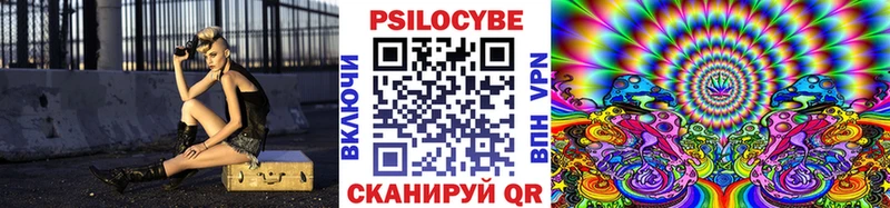 Псилоцибиновые грибы Magic Shrooms  Заречный 