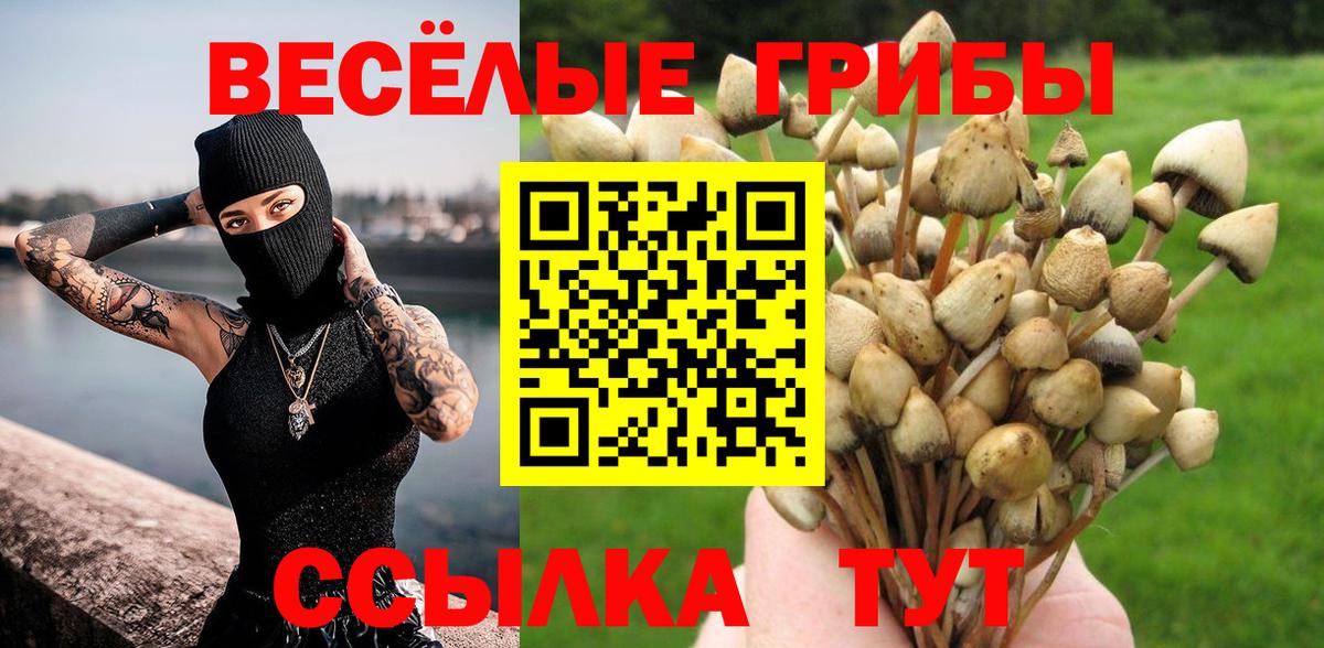 Псилоцибиновые грибы Cubensis  Вход с VPN  Псилоцибиновые грибы Magic Shrooms  Заречный 